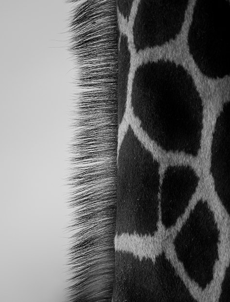 LA PART DES ANGES Caviste Cave à manger Dégustation Vins Nature Nice 17 rue Gubernatis Nice France